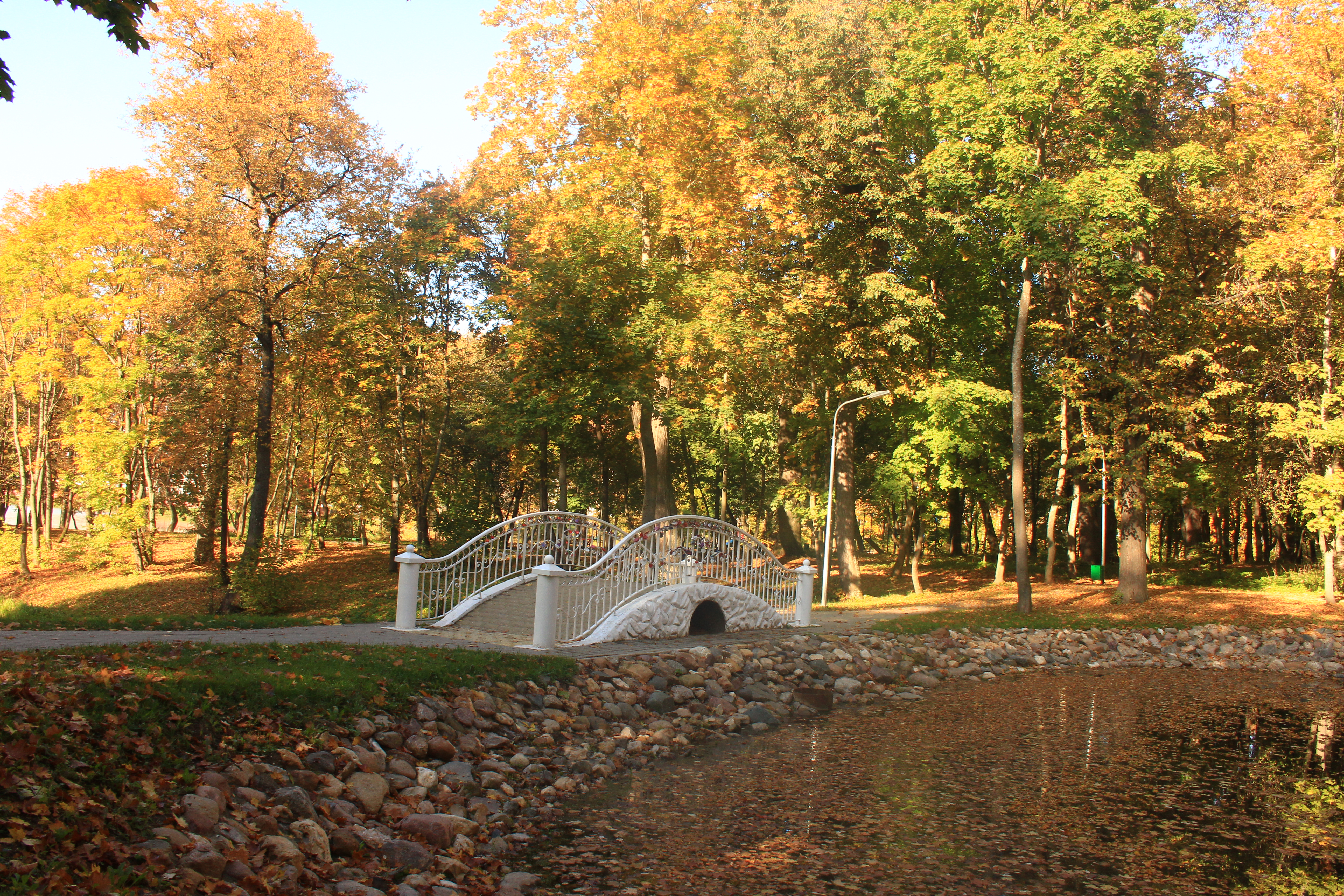 Парк белкино в обнинске