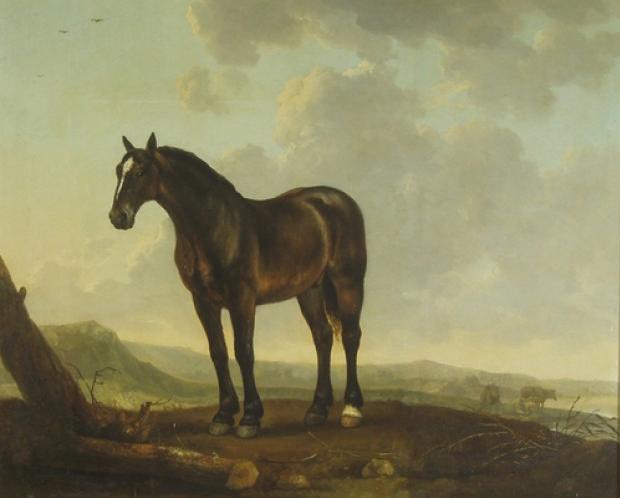 File:Abraham van Calraet - horse in a landscape 1690.JPG