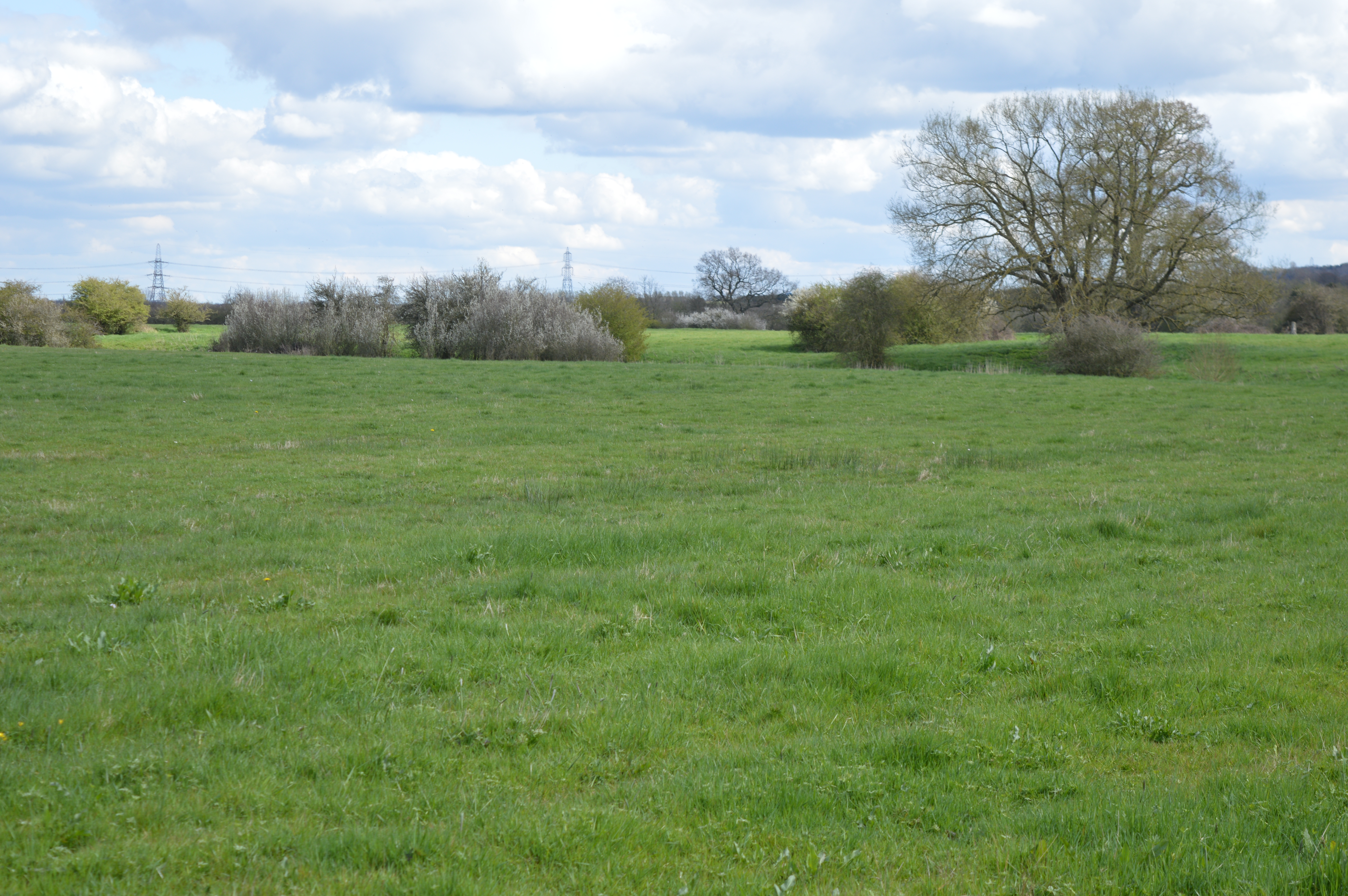 Arncott Bridge Meadows