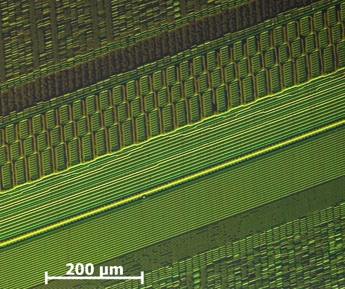 File:Aufnahme einzelner Magnetisierungen gespeicherter Bits auf einem Festplatten-Platter..jpg