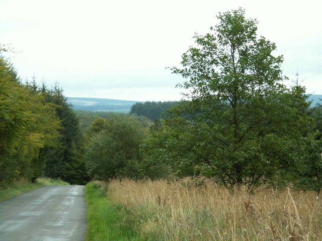 File:B6318 downhill towardsGreenrigg - geograph.org.uk - 553160.jpg