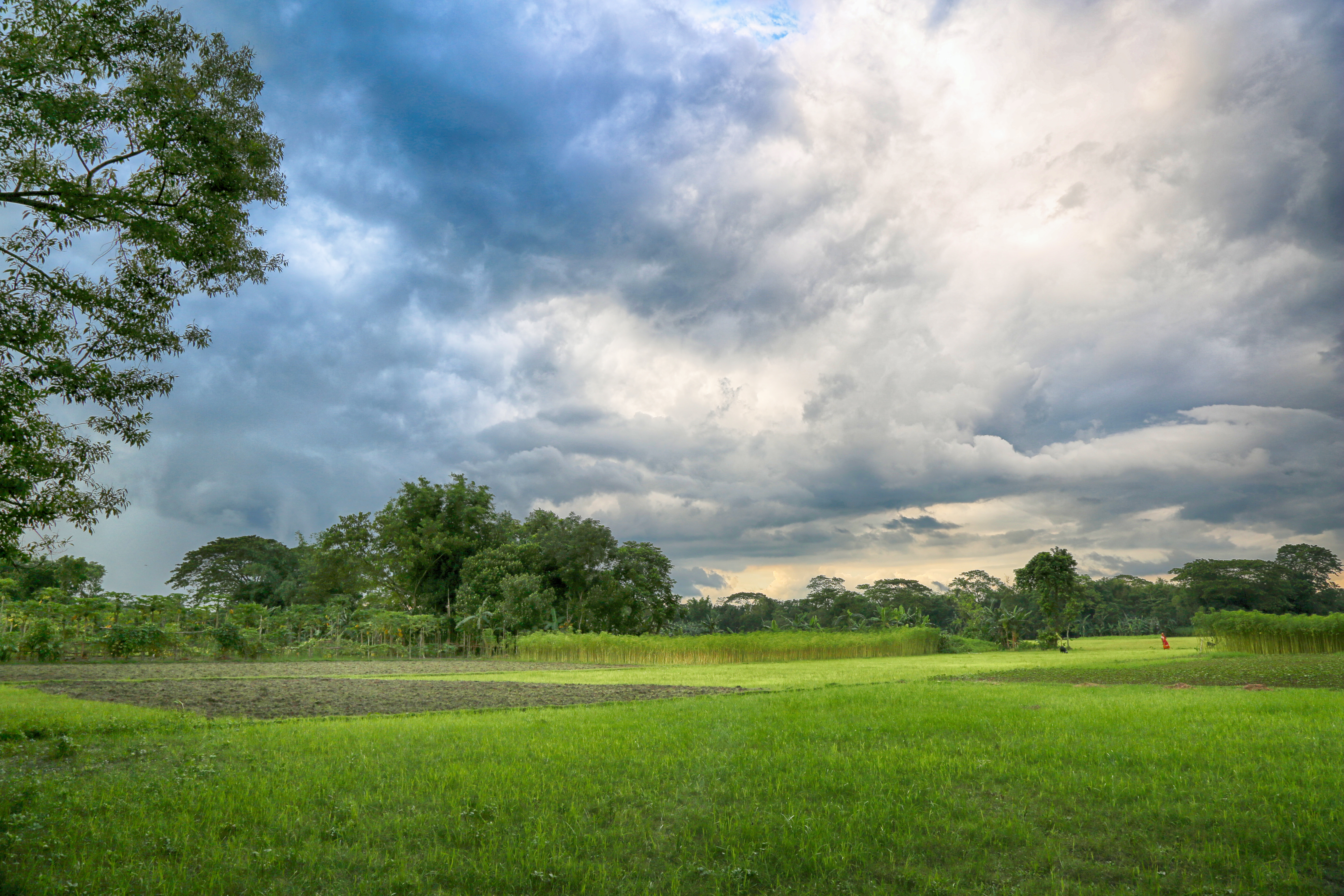 bangladesh landscape