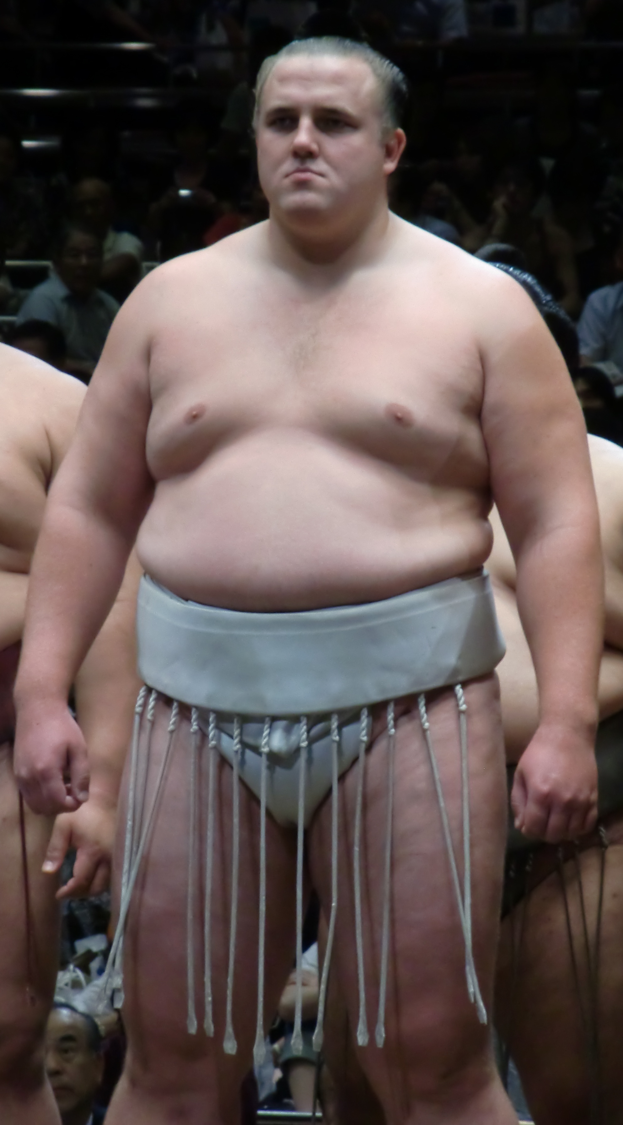 Sumo gay