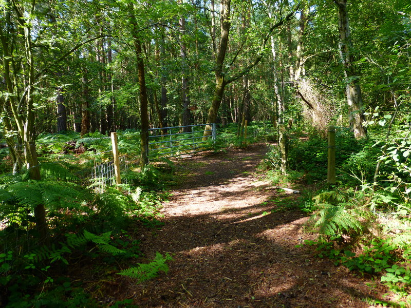 File:Bend in path on Stanford Common - geograph.org.uk - 4105407.jpg