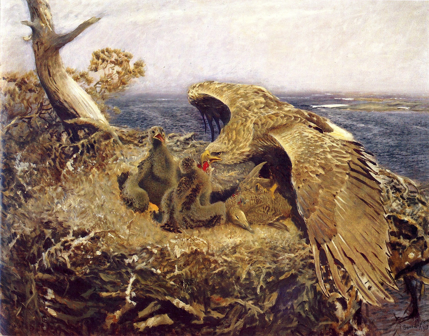 File:Bruno Liljefors - Sea Eagles Nest.jpg - Wikimedia Commons