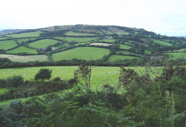 Chardown Hill