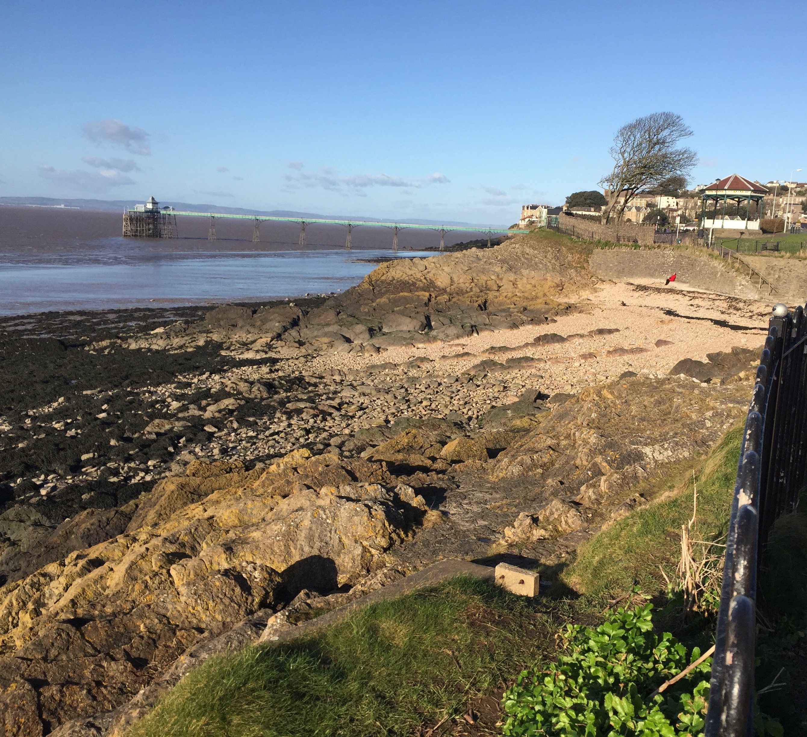 Clevedon Shore