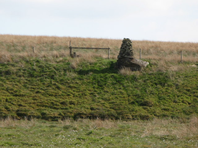 File:Currick on Rock House Fell (2) - geograph.org.uk - 1913315.jpg