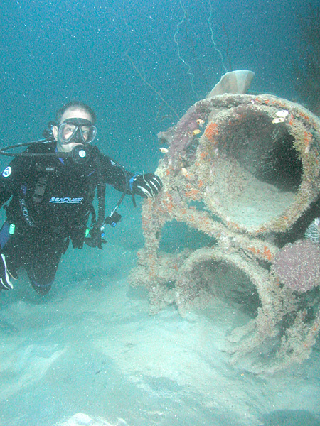 Diver.jpg