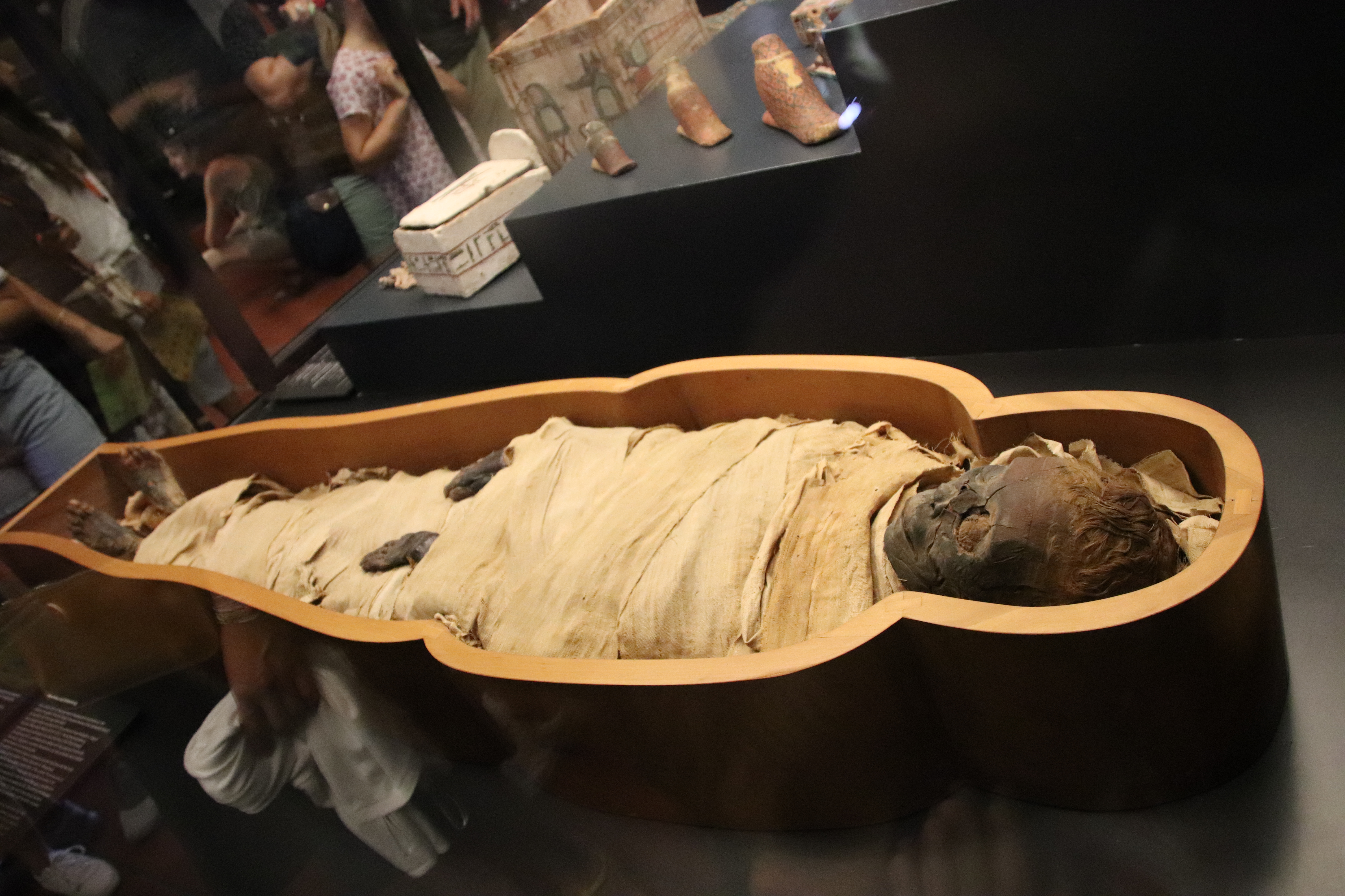 egyptian mummies coffins