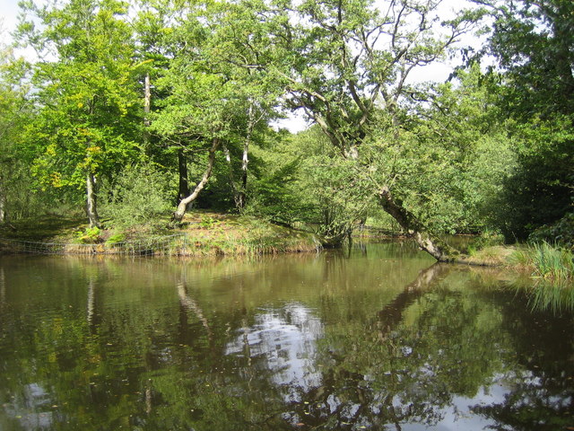 Epping Forest - Wikipedia