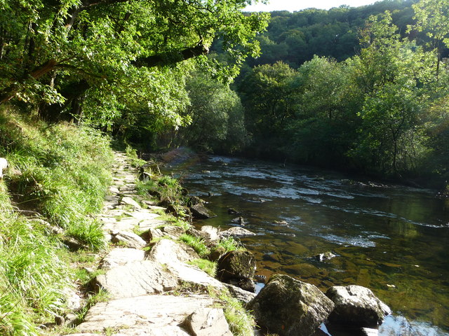 File:Exmoor , Riverside Path and River Barle - geograph.org.uk - 1507875.jpg