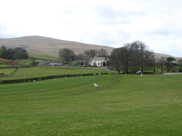 File:Fellside - geograph.org.uk - 780100.jpg