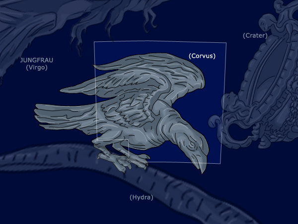 File:Illustration of the constellation Corvus.jpg