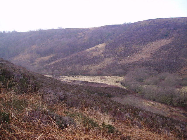 File:Jugger Howe Slack - geograph.org.uk - 390884.jpg