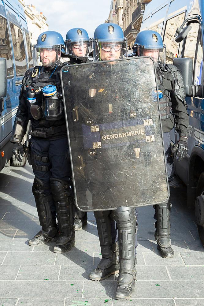 riot shield - Wikidata