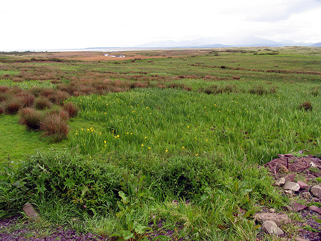 Inch marshes. Маршевые болота. Болото марш. Inch Marshes по русски. Irish Marshes.