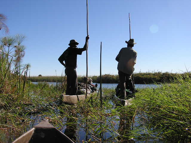 File:Mokoro Polers waiting for hippos.jpg