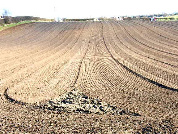 File:Newly harrowed field, Cookshold Lane, Sherburn - geograph.org.uk - 150400.jpg