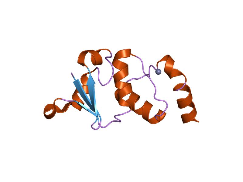 File:PDB 1nn7 EBI.jpg