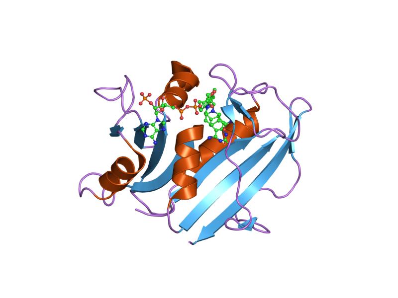 File:PDB 1s3w EBI.jpg