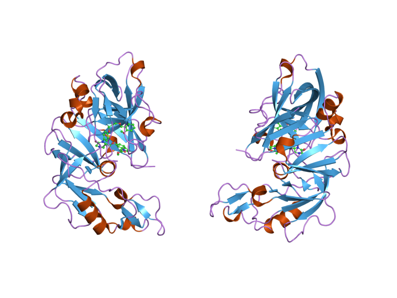 File:PDB 2g27 EBI.png