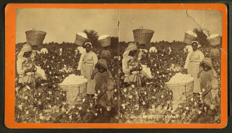 File:Picking cotton. (Women picking cotton.), by Havens, O. Pierre, 1838-1912.jpg