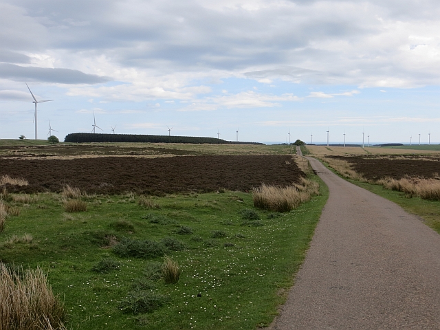 File:Quarryhouse Moor - geograph.org.uk - 3995956.jpg