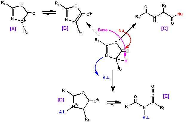 File:Reactividad general de 5-(4H)-oxazolonas.JPG