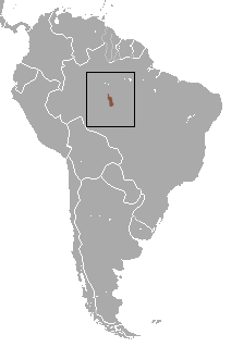 Distribución de tití del río Acari