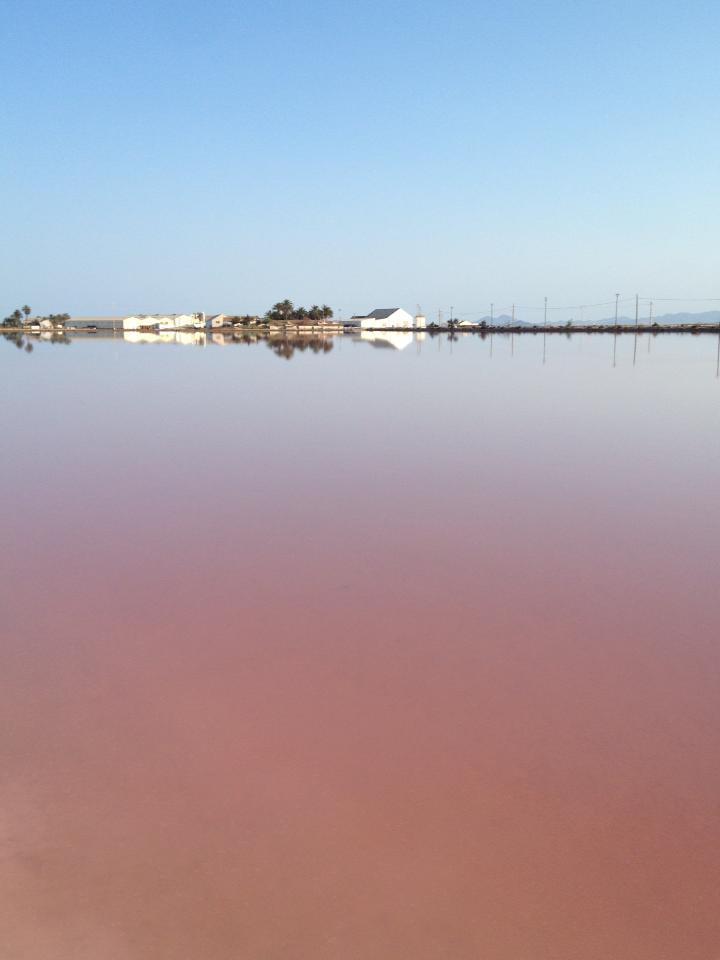 Salinas y Arenales de San Pedro del Pinatar.jpg