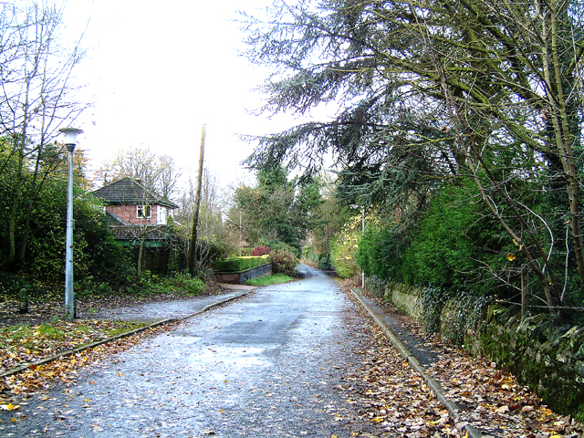 File:Shrubbery Road Ketley - geograph.org.uk - 1049788.jpg