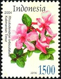File:Stamp of Indonesia - 2004 - Colnect 384881 - Flora - Orbiculatum Rhododendron.jpeg