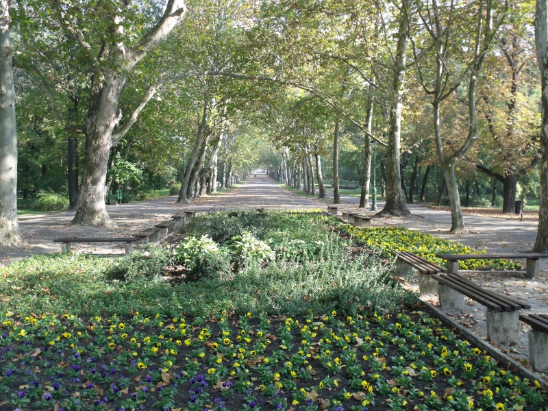 File:Szeged, Liszt Ferenc sétány - panoramio.jpg