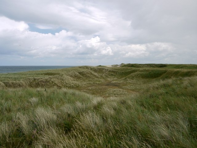 File:The graasy dunes above Cheswick Beach - geograph.org.uk - 1363839.jpg