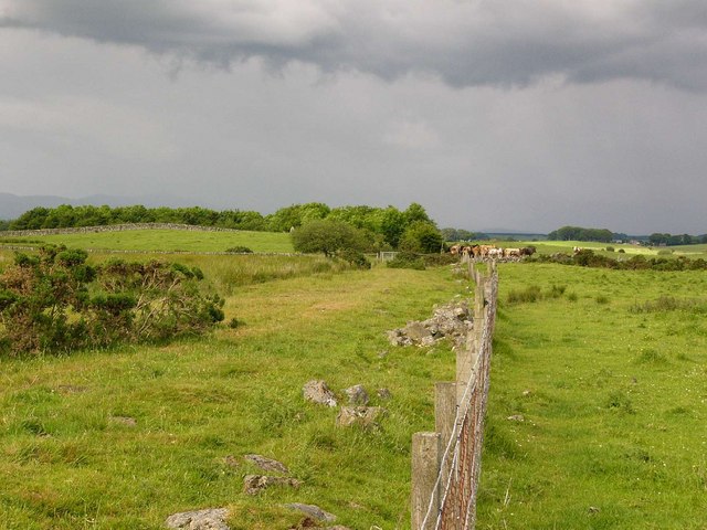 File:Trackbed of the Dumfries-Stranraer railway. - geograph.org.uk - 469852.jpg