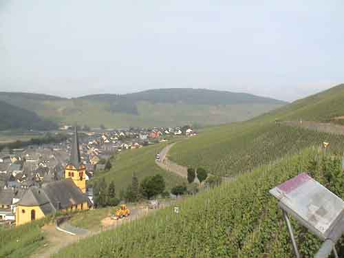 File:Zeltingen–1.jpg