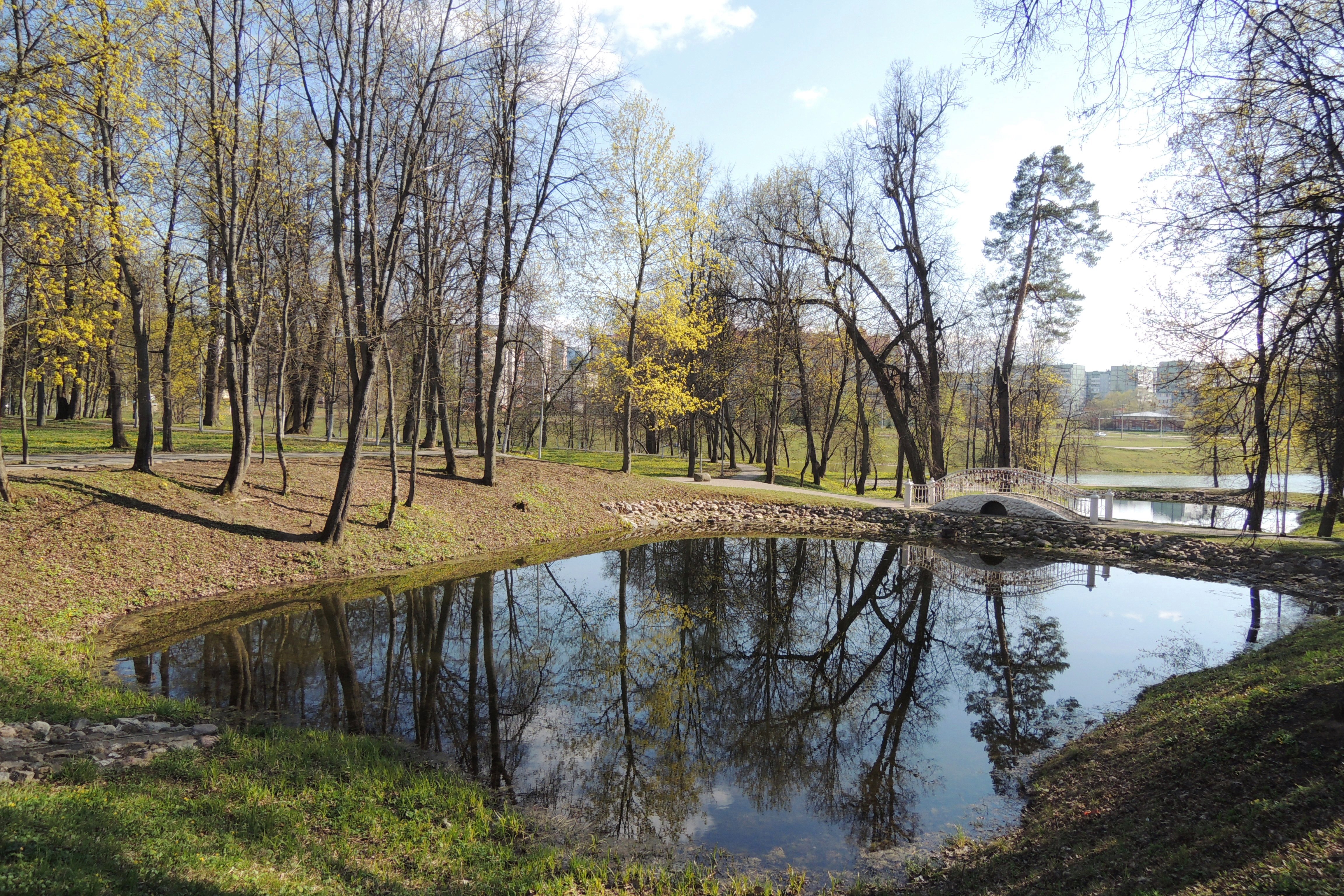 Парк в обнинске