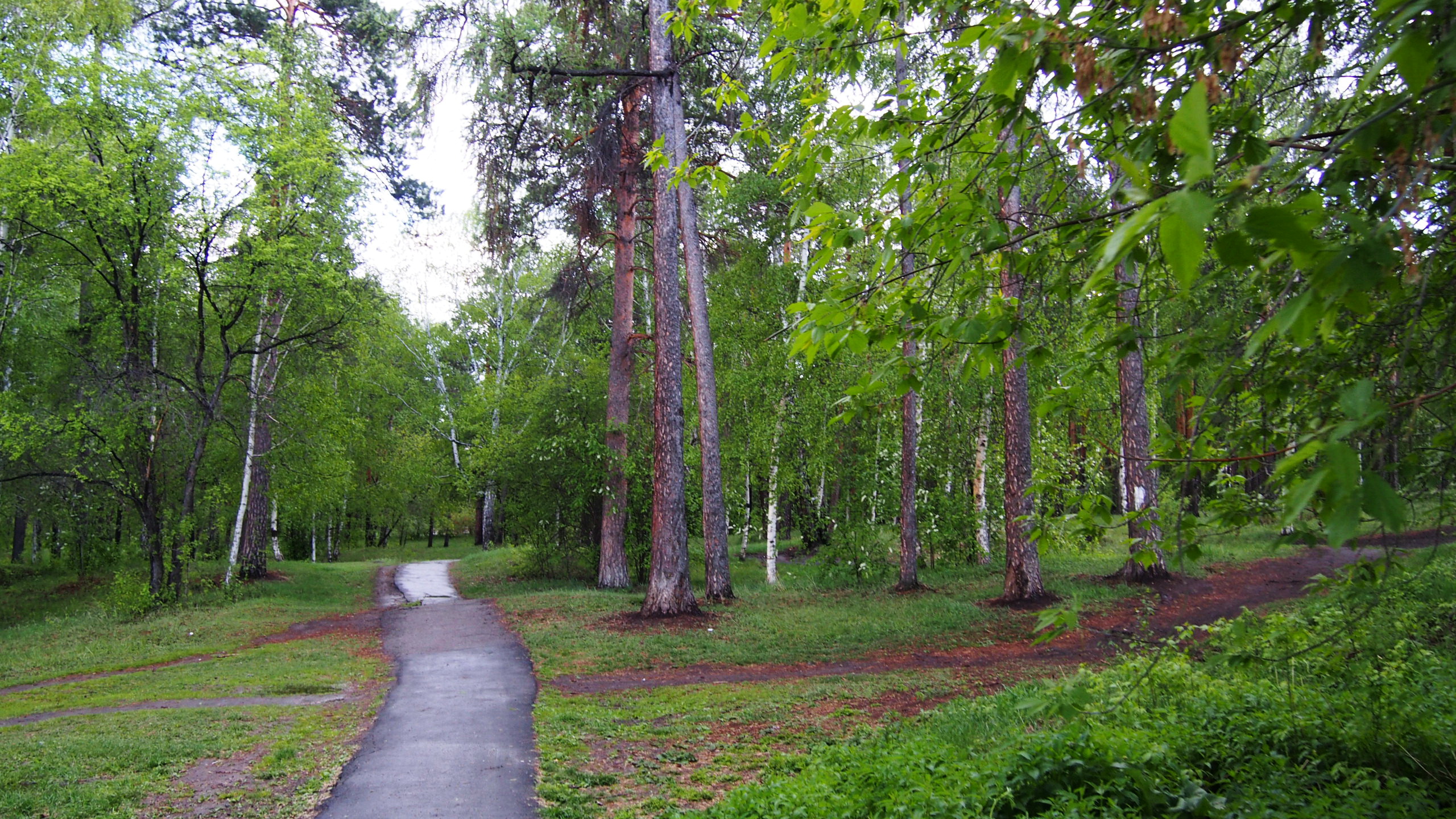 Роща иркутск. Парк Звездочка Иркутск. Курорт Ангара парк. Роща курорт Ангара.