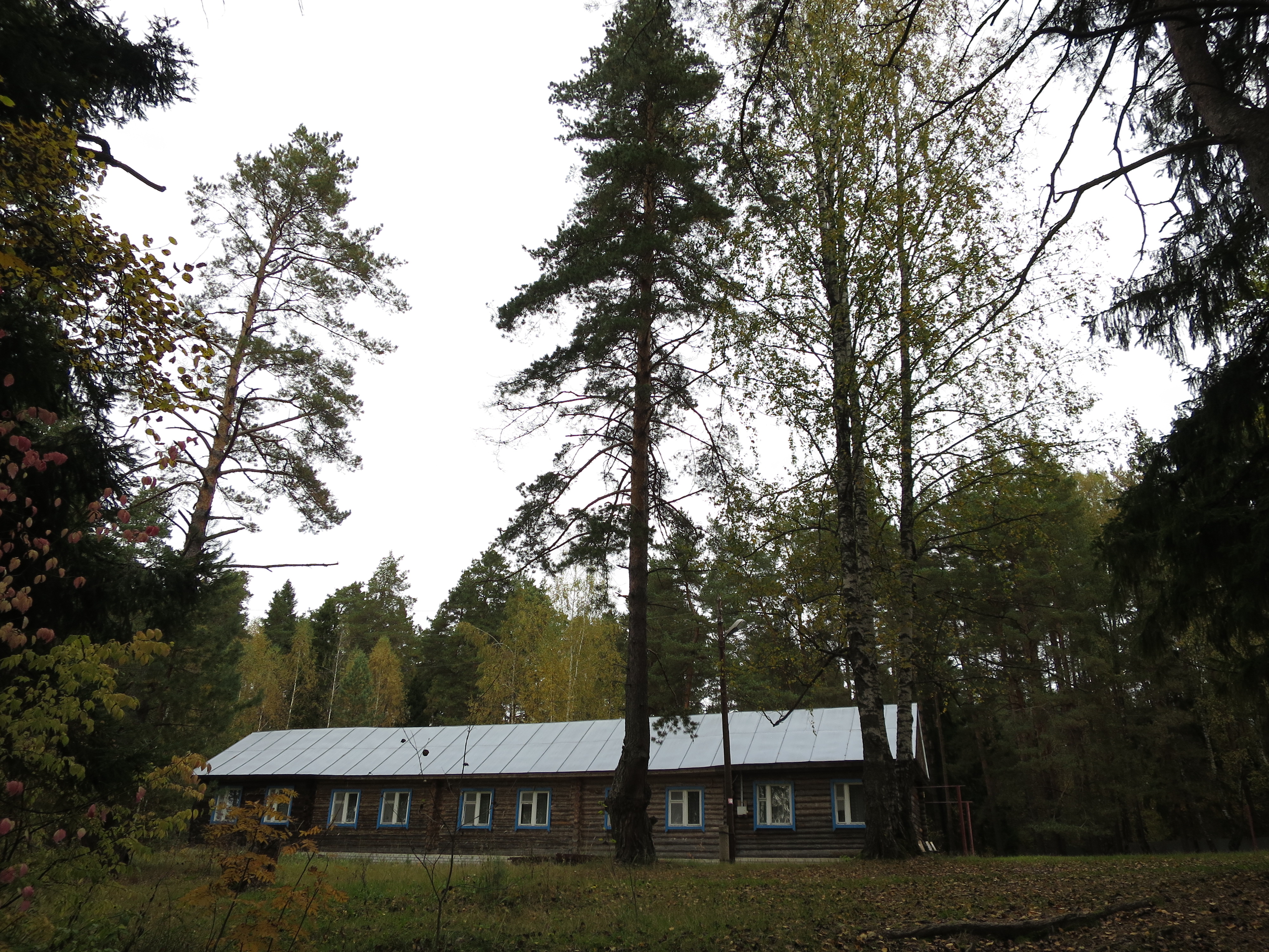 Старая пустынь нижегородская. Биостанция ННГУ Старая пустынь.