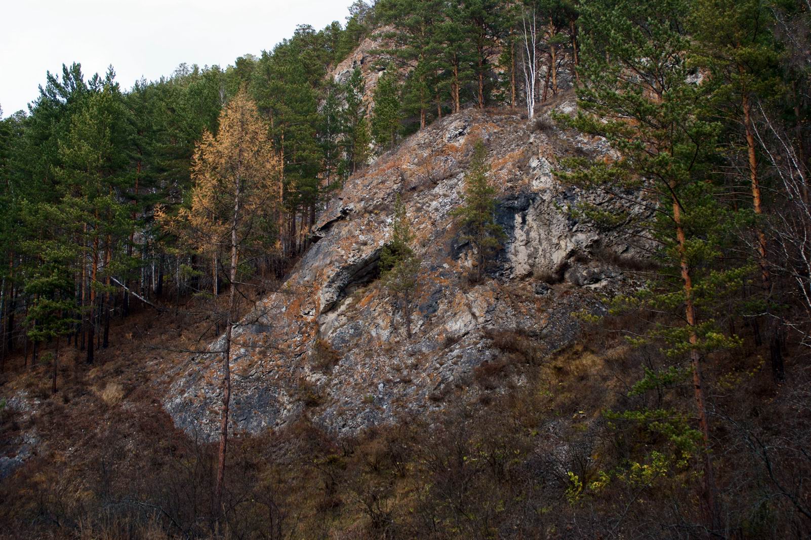 Остров Караульный в Лесосибирске