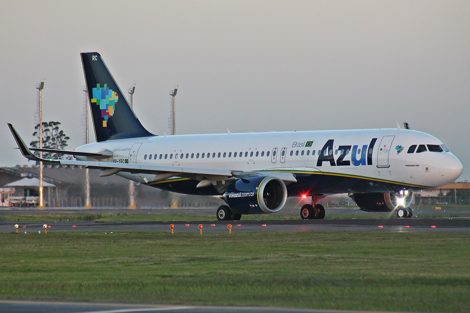 Margarida é o tema do novo avião da Azul - Revista Azul