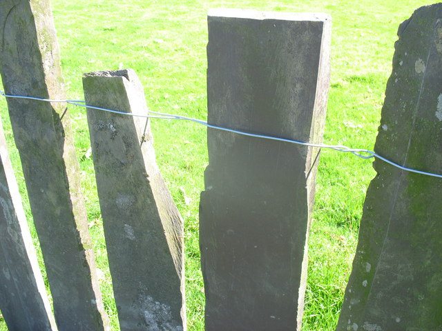 File:A Close-Up View of a Slate Fence - geograph.org.uk - 252111.jpg