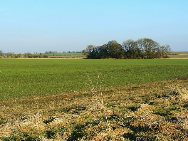 A view from the White Horse Trail, Highway Hill - geograph.org.uk - 1173296