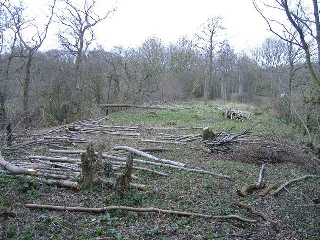 File:Abandoned railway trackbed - geograph.org.uk - 364514.jpg