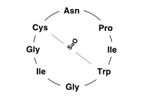 Alpha-Amanitin