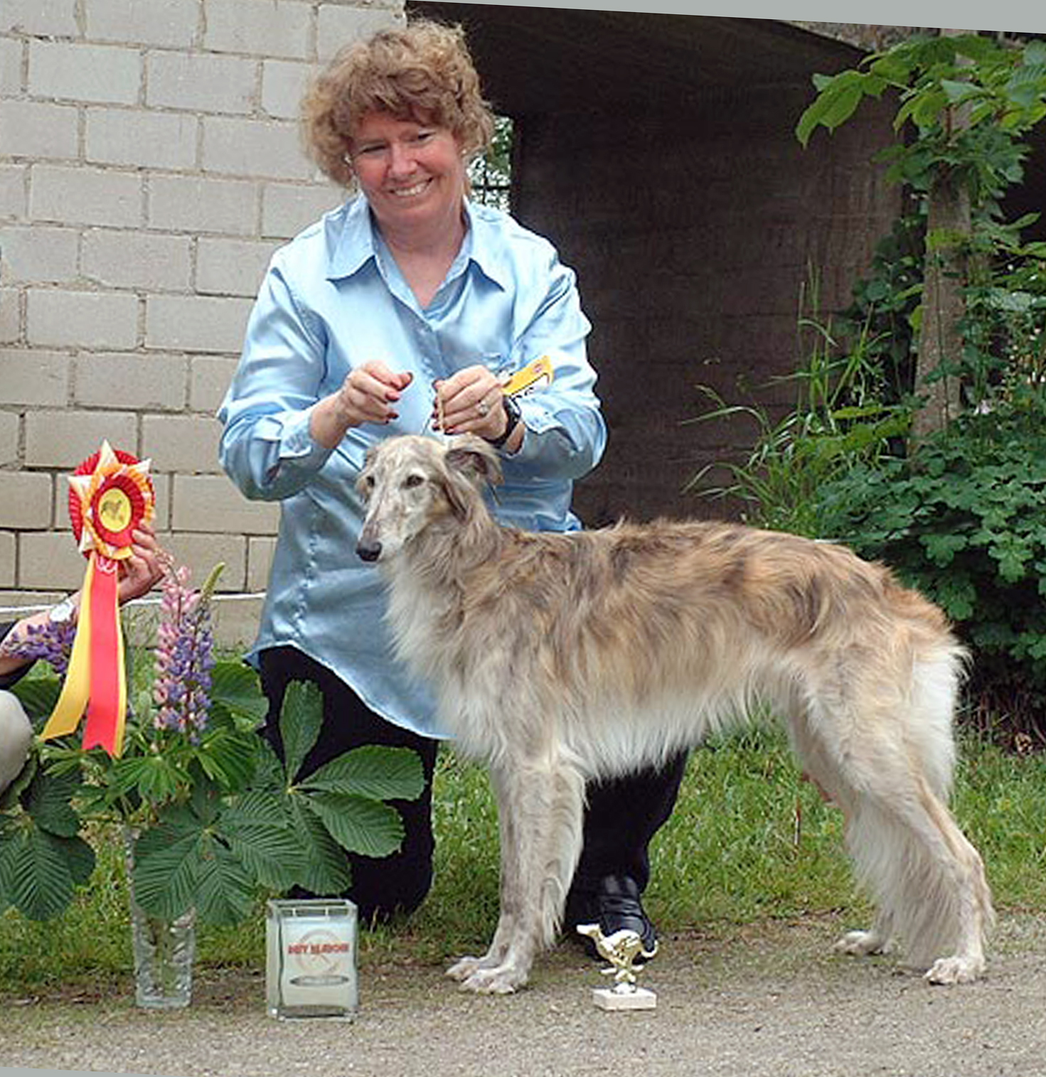 can a silken windhound live in germany