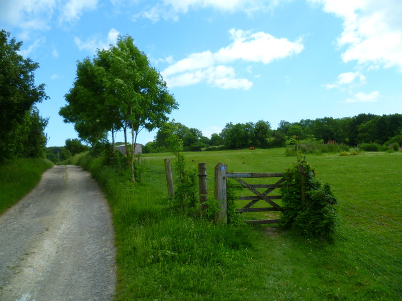 File:Bridleway leaves track and enters field near Pest House - geograph.org.uk - 2987887.jpg