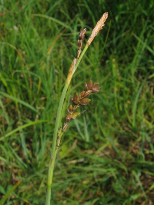 Edgehills Bog