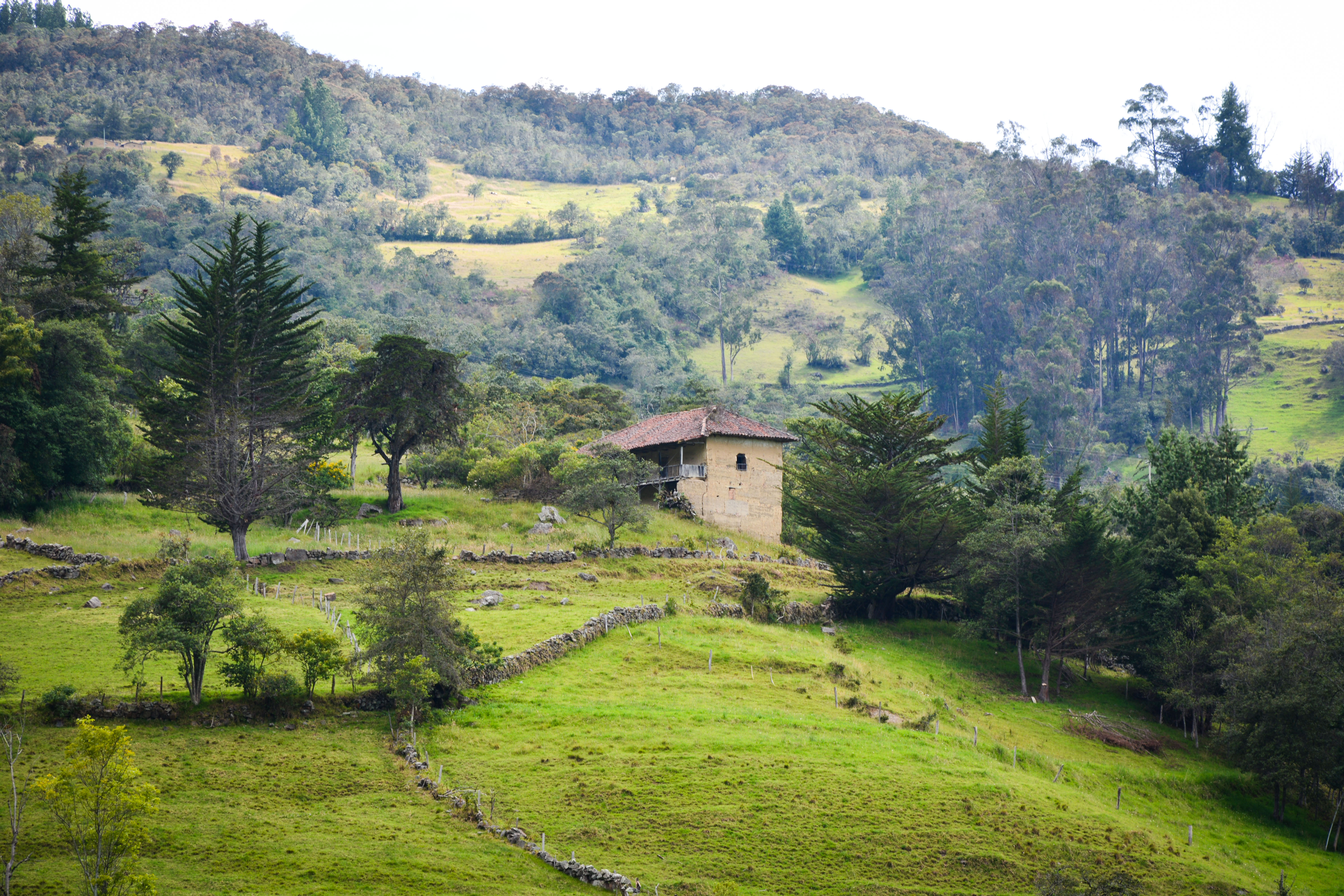 Archivo:Casa de campo Antigua Vereda el  - Wikipedia, la  enciclopedia libre